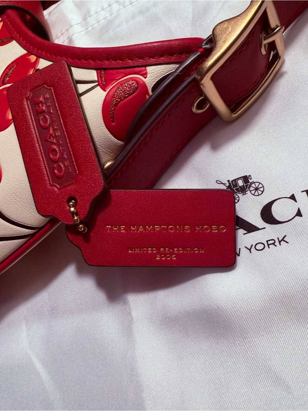 Coach Cherry Print Hampton Hobo Bag - Picture 11 of 14